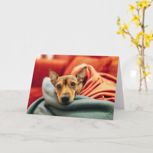 Cutest Baby Animals | Miniature Pinscher カード (黄色い花)