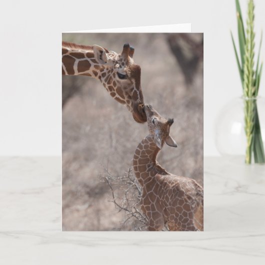 Cutest Baby Animals | Mother and Baby Giraffe カード (正面)