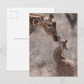 Cutest Baby Animals | Mother and Baby Giraffe ポストカード (正面/裏面)