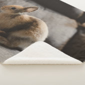 Cutest Baby Animals | Netherland Dwarf Rabbit シェルパブランケット (3/4)