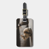 Cutest Baby Animals | Netherland Dwarf Rabbit ラゲッジタグ (正面縦)