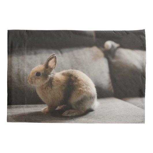 Cutest Baby Animals | Netherland Dwarf Rabbit 枕カバー (裏面)