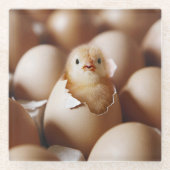 Cutest Baby Animals | New Baby Chick ガラスコースター (正面)