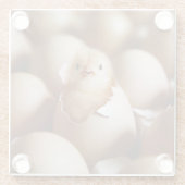 Cutest Baby Animals | New Baby Chick ガラスコースター (裏面)