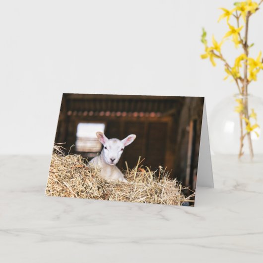 Cutest Baby Animals | Newborn Lamb カード (黄色い花)