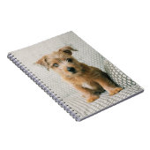 Cutest Baby Animals | Norfolk Terrier Puppy ノートブック (右側)