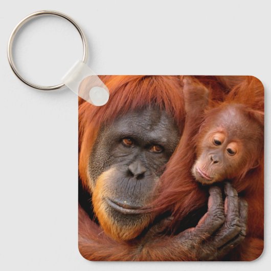 Cutest Baby Animals | Orangutan Mom & Baby キーホルダー (正面)