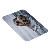 Cutest Baby Animals | Otter Baby & Mother マグネット (右側)