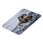 Cutest Baby Animals | Otter Baby & Mother マグネット (左側)