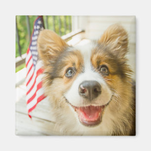 Cutest Baby Animals   Patriotic Corgi Puppy マグネット