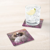 Cutest Baby Animals | Pekingese Puppy スクエアペーパーコースター (インサイチュ)