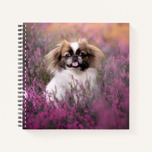 Cutest Baby Animals | Pekingese Puppy ノートブック (正面)