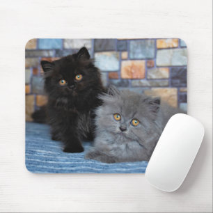Cutest Baby Animals Persian Kittens on Blanket マウスパッド