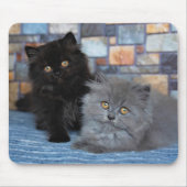 Cutest Baby Animals | Persian Kittens on Blanket マウスパッド (正面)