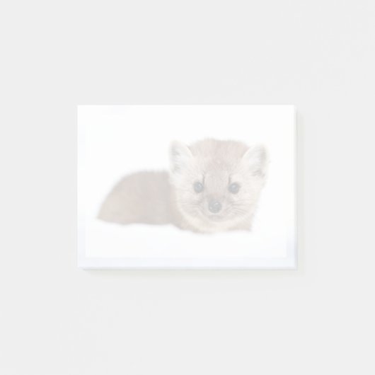 Cutest Baby Animals | Pine Marten ポストイット (正面)