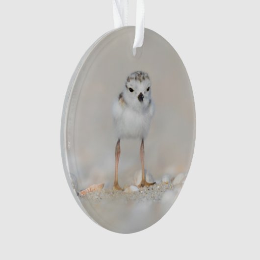 Cutest Baby Animals | Piping Plover Chick オーナメント (正面)