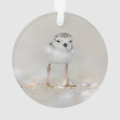 Cutest Baby Animals | Piping Plover Chick オーナメント (裏面)