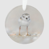 Cutest Baby Animals | Piping Plover Chick オーナメント (正面)