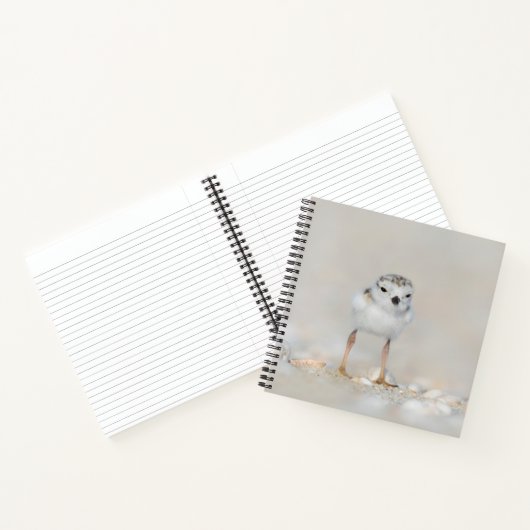 Cutest Baby Animals | Piping Plover Chick ノートブック (内部)