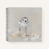 Cutest Baby Animals | Piping Plover Chick ノートブック (正面)
