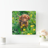 Cutest Baby Animals | Pointer Puppy スクエア壁時計 (ホーム)