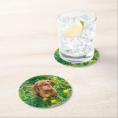 Cutest Baby Animals | Pointer Puppy ラウンドペーパーコースター (インサイチュ)