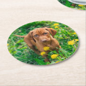 Cutest Baby Animals | Pointer Puppy ラウンドペーパーコースター (アングル)
