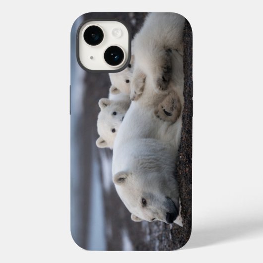 Cutest Baby Animals | Polar Bear Family Alaska Case-Mate iPhoneケース (裏面)