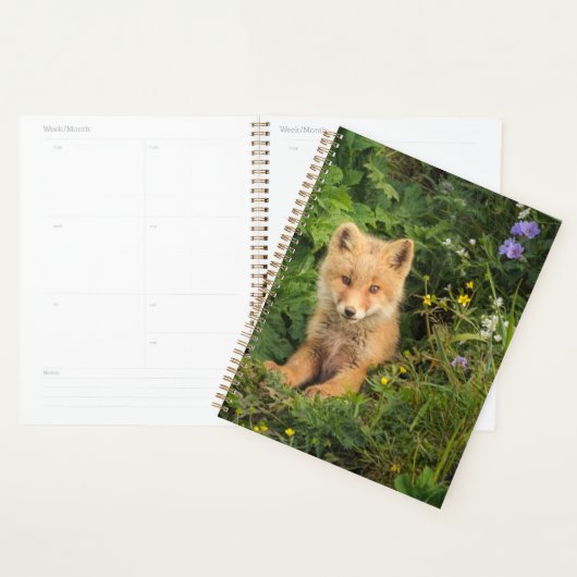 Cutest Baby Animals | Red Fox at Umnak Alaska プランナー手帳 (ディスプレー)