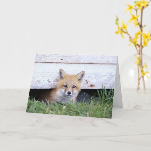 Cutest Baby Animals | Red Fox Kit Peeking カード (黄色い花)