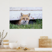 Cutest Baby Animals | Red Fox Kit Peeking ポスター (キッチン)