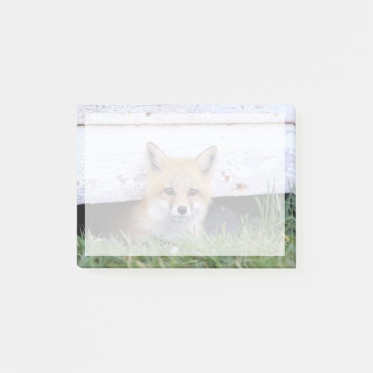 Cutest Baby Animals | Red Fox Kit Peeking ポストイット (正面)