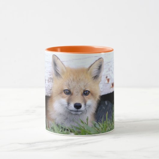 Cutest Baby Animals | Red Fox Kit Peeking マグカップ (中央)