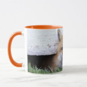 Cutest Baby Animals | Red Fox Kit Peeking マグカップ (左)
