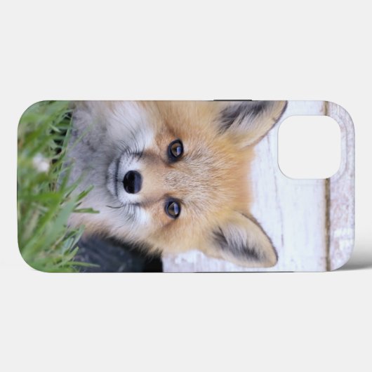 Cutest Baby Animals | Red Fox Kit Peeking Case-Mate iPhoneケース (裏面 (横))