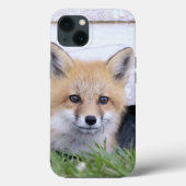 Cutest Baby Animals | Red Fox Kit Peeking Case-Mate iPhoneケース (裏面)