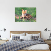 Cutest Baby Animals | Red Fox Kit Relaxing キャンバスプリント (インサイチュ (寝室))
