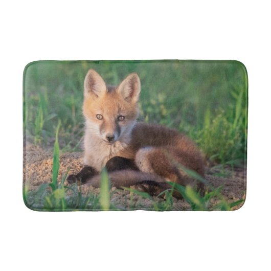 Cutest Baby Animals | Red Fox Kit Relaxing バスマット (正面)