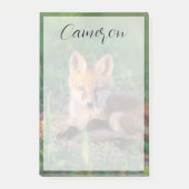 Cutest Baby Animals | Red Fox Kit Relaxing ポストイット (正面)