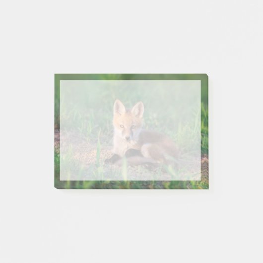 Cutest Baby Animals | Red Fox Kit Relaxing ポストイット (正面)