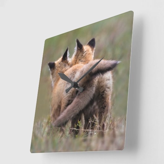Cutest Baby Animals | Red Fox Kits Locking Tails スクエア壁時計 (傾斜)