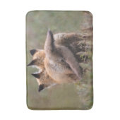 Cutest Baby Animals | Red Fox Kits Locking Tails バスマット (正面縦)