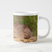 Cutest Baby Animals | Red Fox Pup ジャンボコーヒーマグカップ (右)