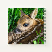 Cutest Baby Animals | Roe Deer Baby ノートブック (裏面)