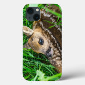 Cutest Baby Animals | Roe Deer Baby Case-Mate iPhoneケース (裏面)