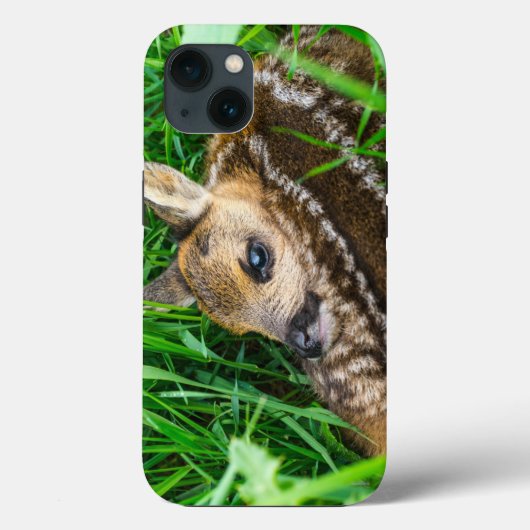 Cutest Baby Animals | Roe Deer Baby Case-Mate iPhoneケース (裏面)