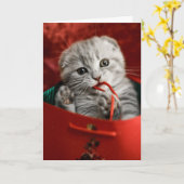 Cutest Baby Animals | Scottish Fold Kitten カード (黄色い花)