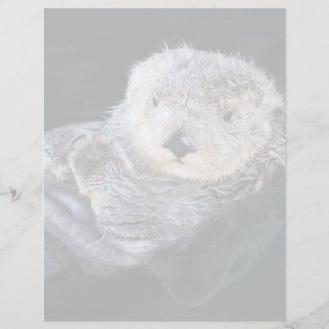 Cutest Baby Animals | Sea Otter Floating (正面)