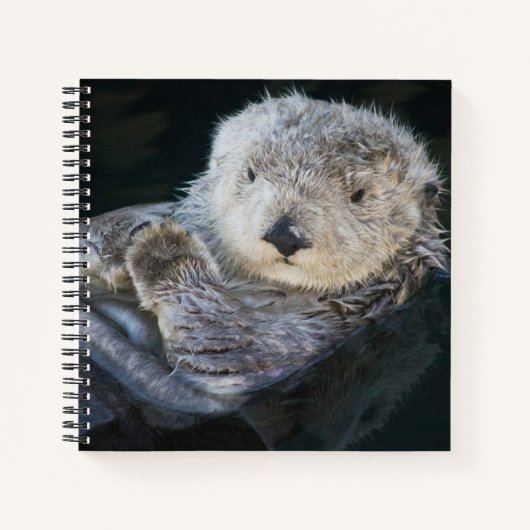Cutest Baby Animals | Sea Otter Floating ノートブック (正面)