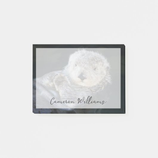 Cutest Baby Animals | Sea Otter Floating ポストイット (正面)